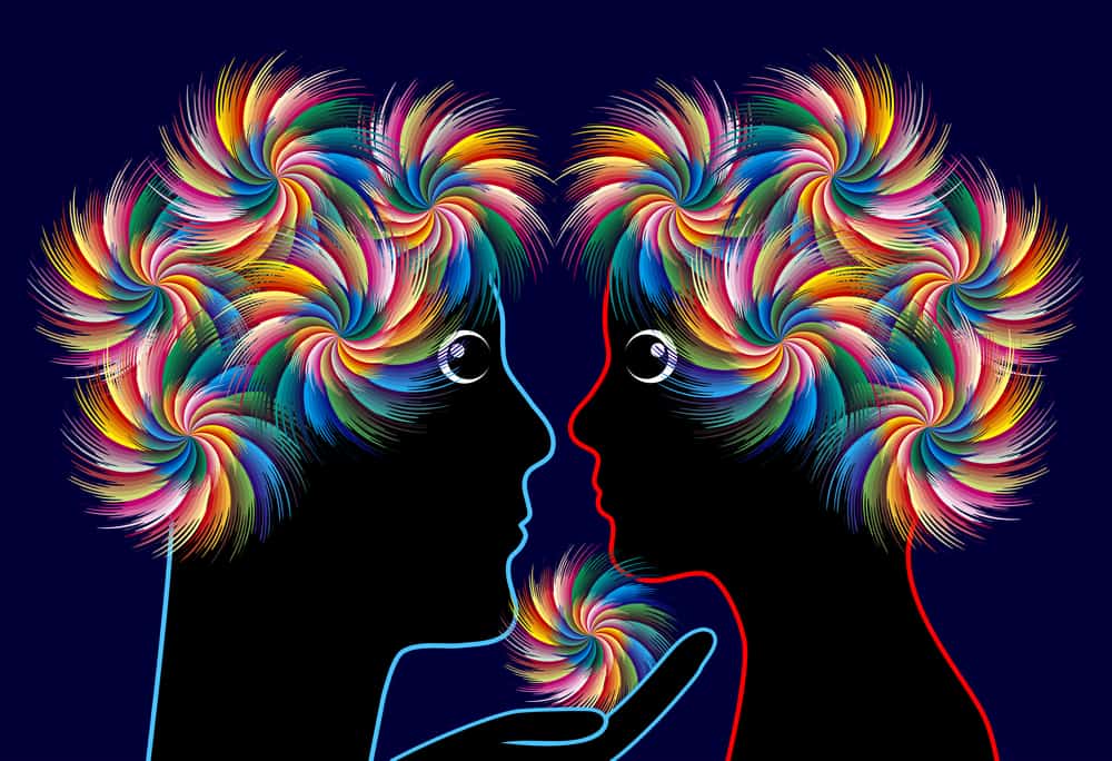 Meet your Twin Flame