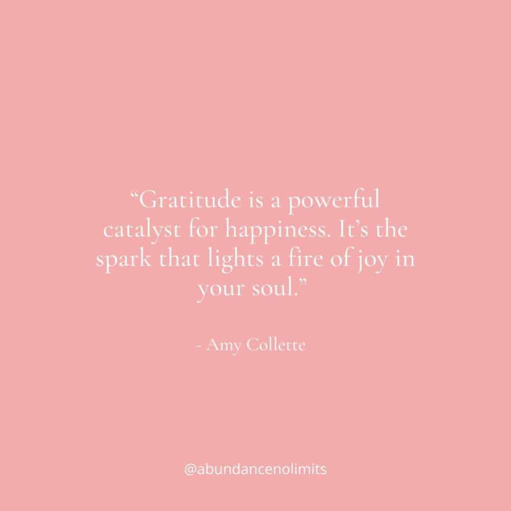 “Gratitude is a powerful catalyst for happiness. It’s the spark that lights a fire of joy in your soul.” - Amy Collette