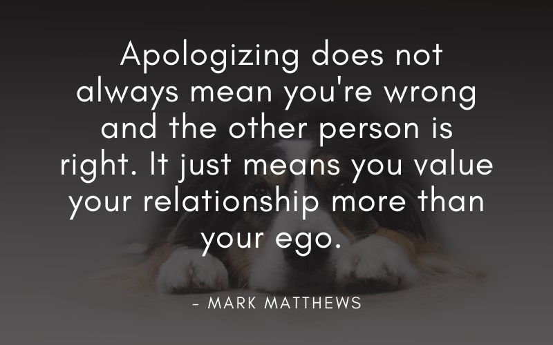 apologizing when you did nothing wrong quote