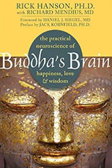 buddha's brain. The Practical Neuroscience of Happiness, Love, and Wisdom