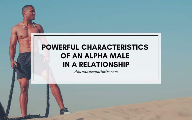 Alpha Male In A Relationship