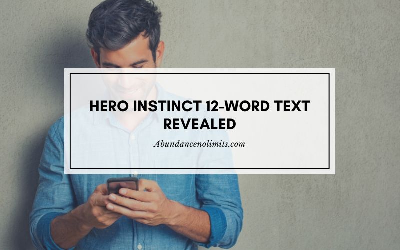 Hero Instinct 12-word Text Revealed
