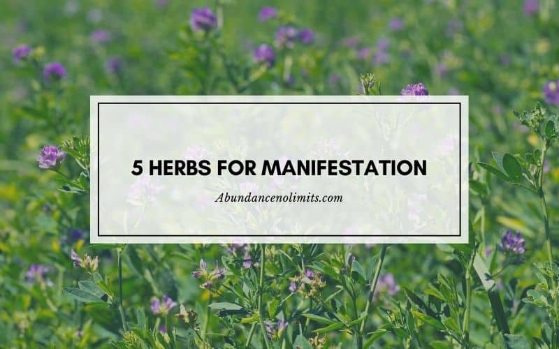 Herbs for Manifestation