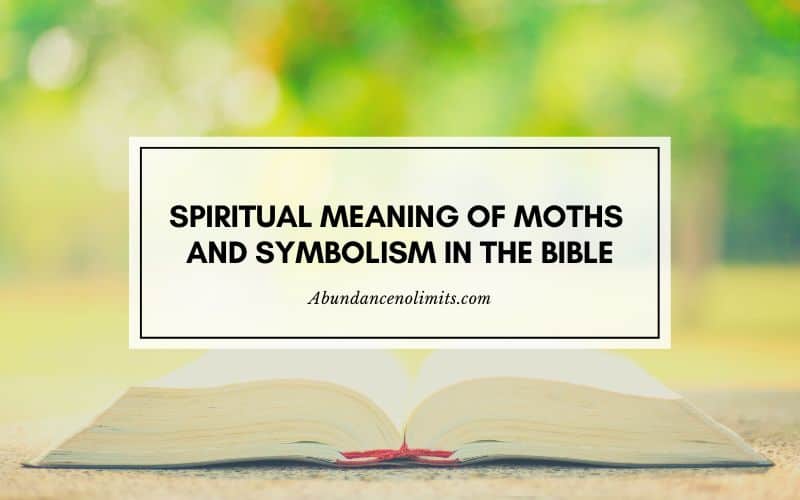 Spiritual Meaning of Moths and Symbolism in the Bible