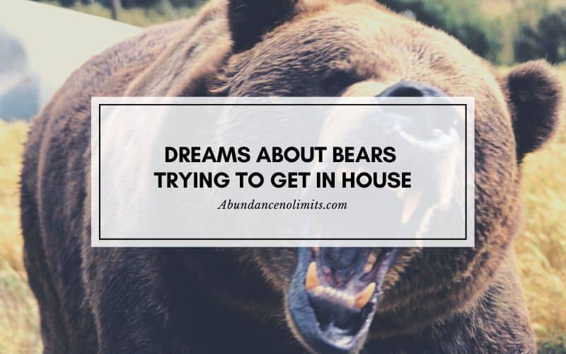 dreams about bears trying to get in house