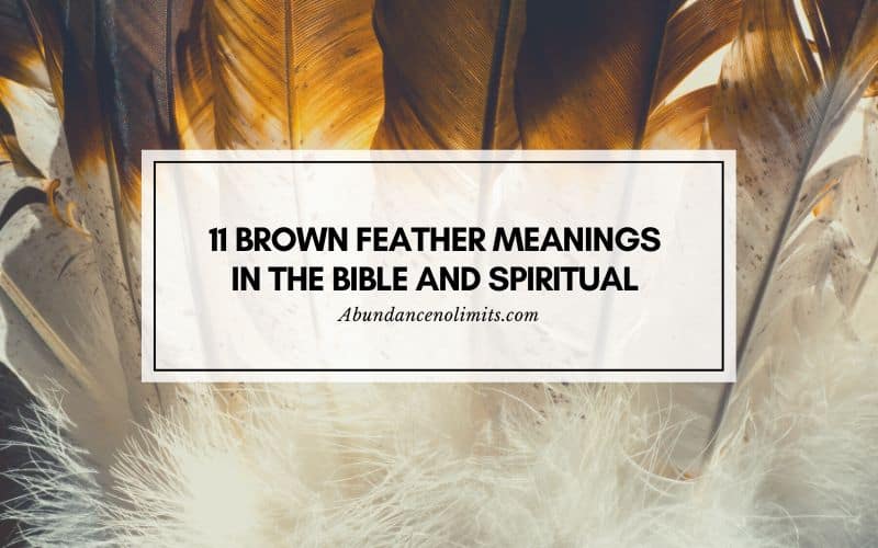 Brown Feather Meanings in the Bible