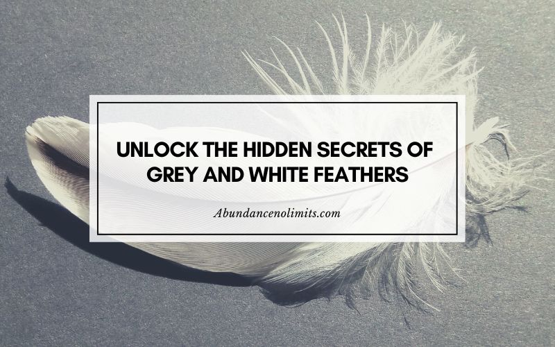 Grey And White Feather Meaning