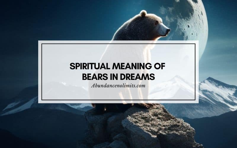 Spiritual Meaning of Bears in Dreams