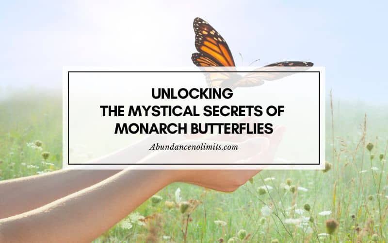 What Is The Spiritual Meaning Of Seeing A Monarch Butterfly