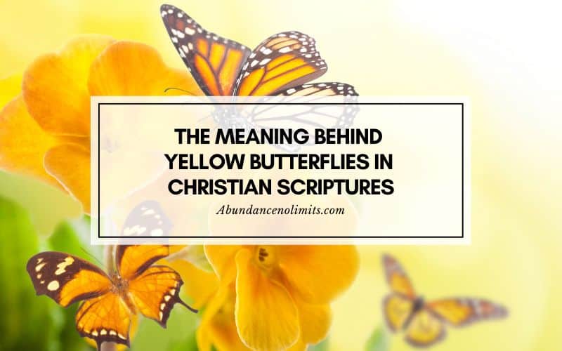 Spiritual Yellow Butterfly Meaning In The Bible