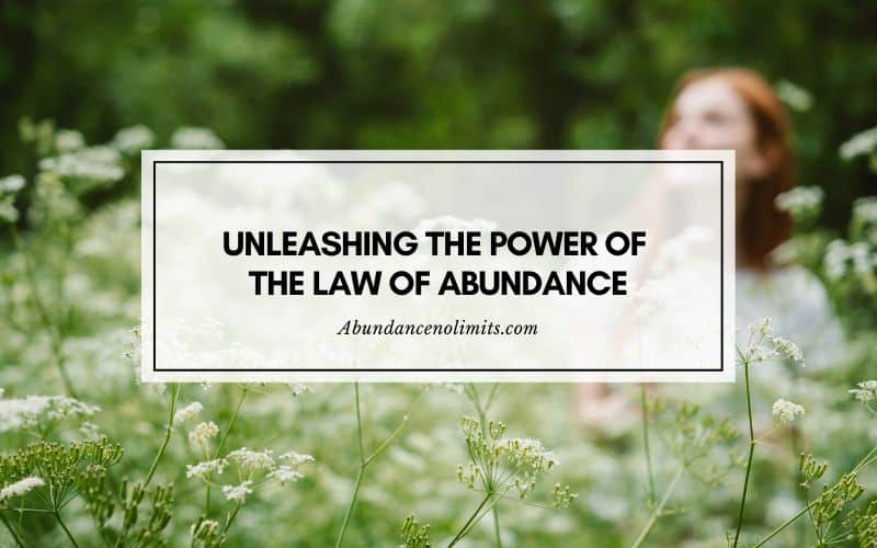 the Law of Abundance