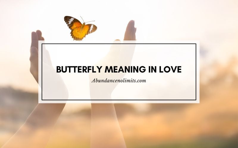 Butterfly Meaning in Love