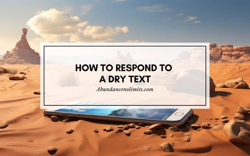 How To Respond To A Dry Text?